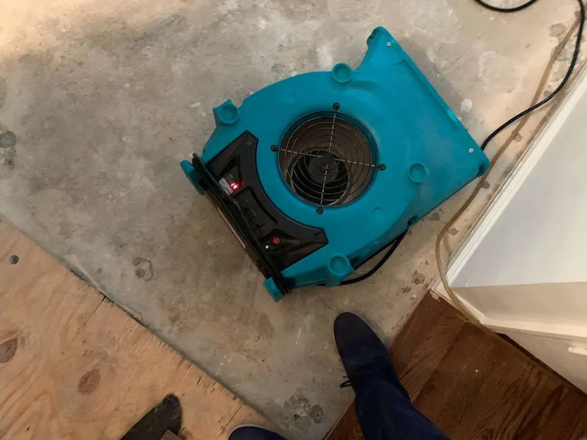 Air mover drying subfloor during Commercial Water Damage Restoration in Corpus Christi